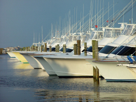 Marina