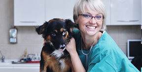 Veterinarians